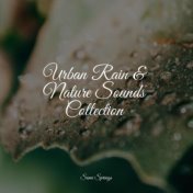 Urban Rain & Nature Sounds Collection