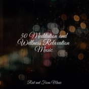 50 Meditation and Wellness Relaxation Music