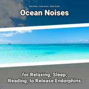 Ocean Noises for Relaxing, Sleep, Reading, to Release Endorphins