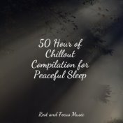 50 Hour of Chillout Compilation for Peaceful Sleep