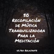 50 Recopilación de Música Tranquilizadora Para la Meditación