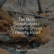 The Best Soundscapes | Complete Stress & Anxiety Relief