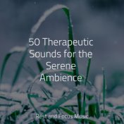 50 Therapeutic Sounds for the Serene Ambience