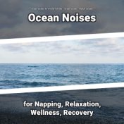 Ocean Noises for Napping, Relaxation, Wellness, Recovery