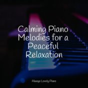 Calming Piano Melodies for a Peaceful Relaxation