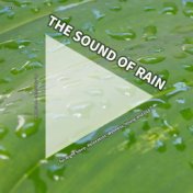 #01 The Sound of Rain for Night Sleep, Relaxation, Wellness, Young and Old
