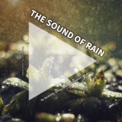 #01 The Sound of Rain for Bedtime, Stress Relief, Relaxation, Memory