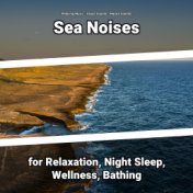 Sea Noises for Relaxation, Night Sleep, Wellness, Bathing