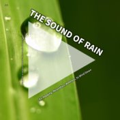 #01 The Sound of Rain for Napping, Relaxation, Wellness, to Wind Down