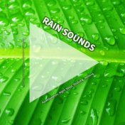 #01 Rain Sounds for Relaxation, Night Sleep, Studying, Walking