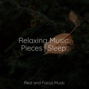 Relaxing Music Pieces | Sleep