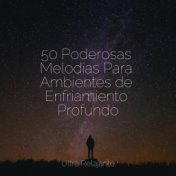 50 Poderosas Melodías Para Ambientes de Enfriamiento Profundo