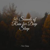 50 Sounds of Rain for Deep Sleep