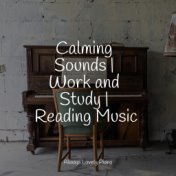 Calming Sounds | Work and Study | Reading Music