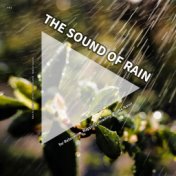 #01 The Sound of Rain for Relaxation, Napping, Reading, Traffic Noise