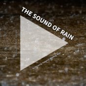 #01 The Sound of Rain for Relaxing, Napping, Reading, Reiki