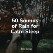 50 Sounds of Rain for Calm Sleep