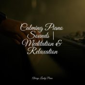 Calming Piano Sounds | Meditation & Relaxation