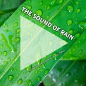 #01 The Sound of Rain for Night Sleep, Relaxation, Meditation, Babies