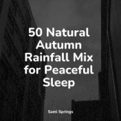 50 Natural Autumn Rainfall Mix for Peaceful Sleep