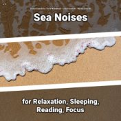 z Z Sea Noises for Relaxation, Sleeping, Reading, Focus