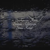 #1 50 Timeless Rain Sounds - Ultimate Stress Relief