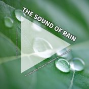 #01 The Sound of Rain for Night Sleep, Relaxation, Meditation, to Stop Headache