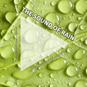 #01 The Sound of Rain for Sleeping, Relaxation, Wellness, Cats & Dogs