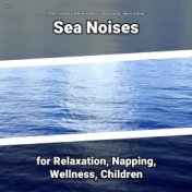 z Z z Sea Noises for Relaxation, Napping, Wellness, Children