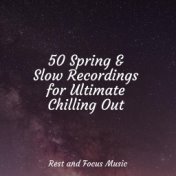 50 Spring & Slow Recordings for Ultimate Chilling Out