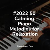 #2022 50 Calming Piano Melodies for Relaxation