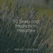 50 Sleep and Meditation Melodies