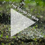 #01 The Sound of Rain for Napping, Relaxing, Studying, Health