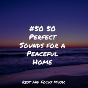 #50 50 Perfect Sounds for a Peaceful Home