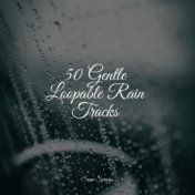 50 Gentle Loopable Rain Tracks