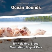 z Z Ocean Sounds for Relaxing, Sleep, Meditation, Dogs & Cats