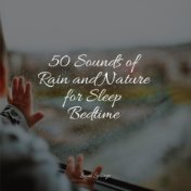 50 Sounds of Rain and Nature for Sleep Bedtime