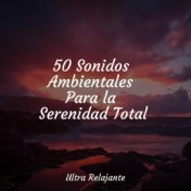 50 Sonidos Ambientales Para la Serenidad Total