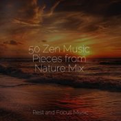 50 Zen Music Pieces from Nature Mix