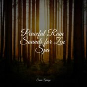 Peaceful Rain Sounds for Zen Spa