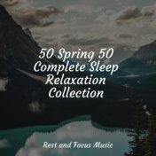 50 Spring 50 Complete Sleep Relaxation Collection