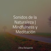 Sonidos de la Naturaleza | Mindfulness y Meditación