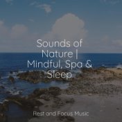 Sounds of Nature | Mindful, Spa & Sleep