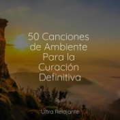 50 Canciones de Ambiente Para la Curación Definitiva