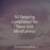 50 Relaxing Compilation for Sleep and Mindfulness