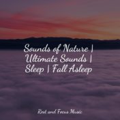 Sounds of Nature | Ultimate Sounds | Sleep | Fall Asleep