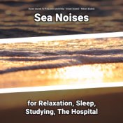 Sea Noises for Relaxation, Sleep, Studying, The Hospital