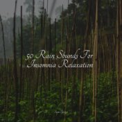 50 Rain Sounds For Insomnia Relaxation