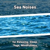 Sea Noises for Relaxing, Sleep, Yoga, Mindfulness