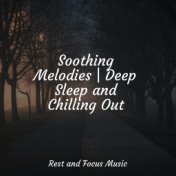 Soothing Melodies | Deep Sleep and Chilling Out